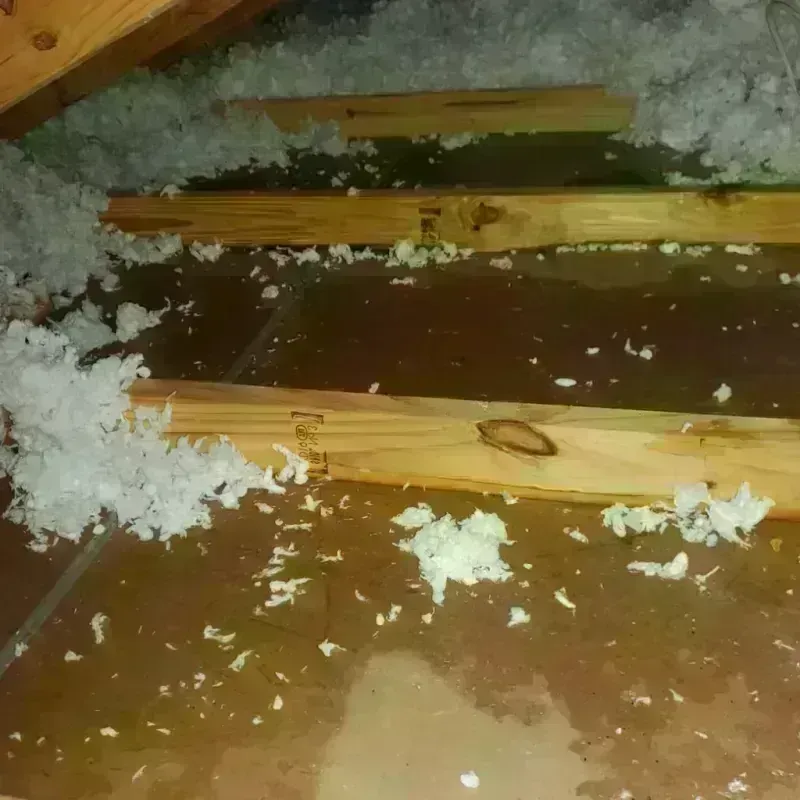 Attic Water Damage in Inverness, IL