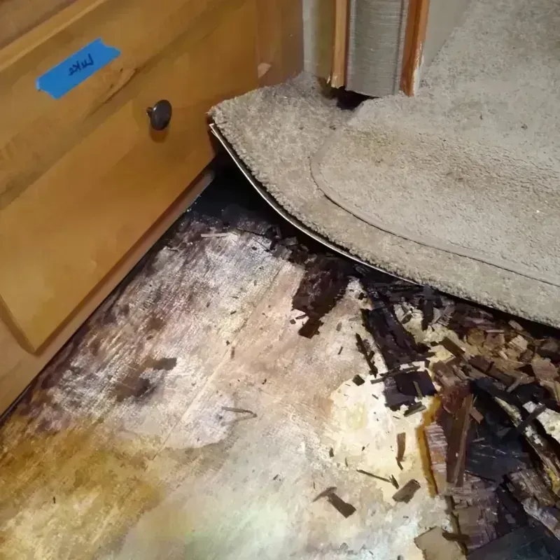 Best Wood Floor Water Damage Service in Inverness, IL